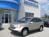 2007 Borrego Beige Metallic Honda CR-V EX-L 4WD #32965505