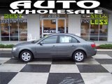 2009 Hyundai Sonata GLS