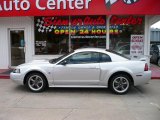 2004 Silver Metallic Ford Mustang GT Coupe #33081373