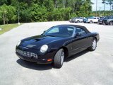 2004 Evening Black Ford Thunderbird Premium Roadster #33081703