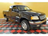 1999 Deep Wedgewood Blue Metallic Ford F150 XLT Extended Cab 4x4 #33081597