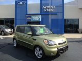 2010 Alien Green Kia Soul ! #33189167