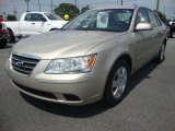 2010 Hyundai Sonata GLS