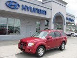 2008 Ford Escape Limited 4WD