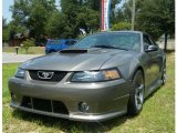 2002 Mineral Grey Metallic Ford Mustang GT Coupe #33328453
