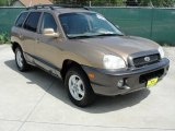 2002 Sandstone Hyundai Santa Fe GLS #33438962