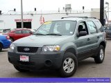 2005 Titanium Green Metallic Ford Escape XLS 4WD #33496457