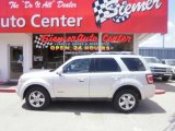 2008 Silver Metallic Ford Escape Limited 4WD #33538832