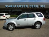 2008 Silver Metallic Ford Escape XLT V6 #33548918