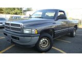 Graphite Gray Metallic Dodge Ram 1500 in 2001