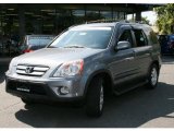 2005 Pewter Pearl Honda CR-V Special Edition 4WD #33605971