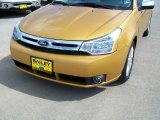 2009 Amber Gold Metallic Ford Focus SEL Sedan #33605995