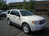 2010 White Suede Ford Escape XLT V6 4WD #33606028