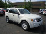 2010 White Suede Ford Escape XLT 4WD #33606031