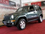 2002 Shale Green Metallic Jeep Liberty Limited 4x4 #33606913