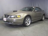 2002 Mineral Grey Metallic Ford Mustang GT Coupe #33673571