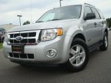 2008 Silver Metallic Ford Escape XLT V6 #33673304