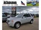 2009 Brilliant Silver Metallic Ford Escape Limited V6 #33673375