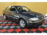 2001 Blue Anthracite Pearl Volkswagen Passat GLX Sedan #33745035