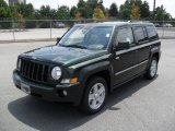 Natural Green Pearl Jeep Patriot in 2010