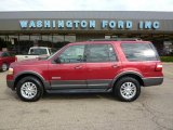 2007 Redfire Metallic Ford Expedition XLT 4x4 #33882345