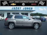 2010 Mocha Steel Metallic GMC Terrain SLT #33923355