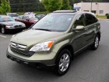 2007 Green Tea Metallic Honda CR-V EX-L 4WD #33936009