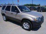 2007 Dune Pearl Metallic Ford Escape XLT V6 4WD #33987449