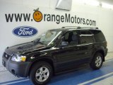 2005 Ford Escape XLT V6 4WD