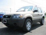 2007 Dune Pearl Metallic Ford Escape XLS 4WD #34095983