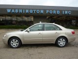2010 Hyundai Sonata GLS