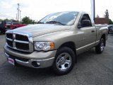 2004 Light Almond Pearl Dodge Ram 1500 SLT Regular Cab #34167687