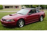 2004 40th Anniversary Crimson Red Metallic Ford Mustang V6 Convertible #34168601