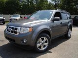 2010 Sterling Grey Metallic Ford Escape XLT #34242063