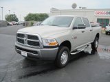 2010 Light Graystone Pearl Dodge Ram 3500 ST Crew Cab 4x4 #34242403