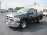 2010 Rugged Brown Pearl Dodge Ram 1500 ST Regular Cab #34242404