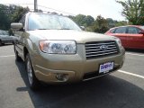 Topaz Gold Metallic Subaru Forester in 2008