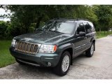 2004 Onyx Green Pearl Jeep Grand Cherokee Limited 4x4 #34447122