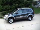 2004 Flint Mica Toyota RAV4 4WD #34513616