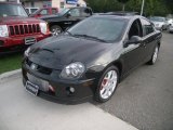 2004 Black Dodge Neon SRT-4 #34513865
