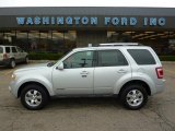 2008 Silver Metallic Ford Escape Limited 4WD #34581803