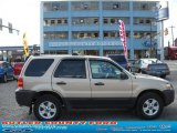 2007 Dune Pearl Metallic Ford Escape XLT V6 4WD #34581553