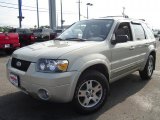 2005 Gold Ash Metallic Ford Escape Limited 4WD #34581356