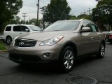 2008 Scarlet Silver Infiniti EX 35 Journey AWD #34643656