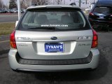 2007 Brilliant Silver Metallic Subaru Outback 2.5i Wagon #3465350