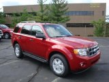 2011 Sangria Red Metallic Ford Escape XLT 4WD #34736593