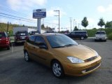 2001 Jackpot Gold Metallic Ford Focus ZX3 Coupe #34736595