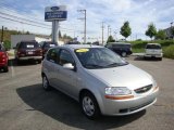 2006 Cosmic Silver Chevrolet Aveo LS Hatchback #34851138