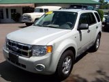 2008 Ford Escape XLT