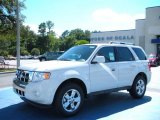 2010 White Suede Ford Escape Limited V6 #35054569